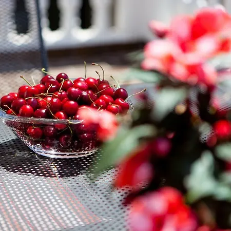 Downtown Authentic Apartment