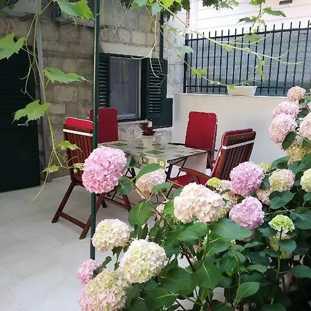 Downtown Authentic Split