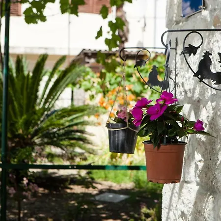 Downtown Authentic * Σπλιτ