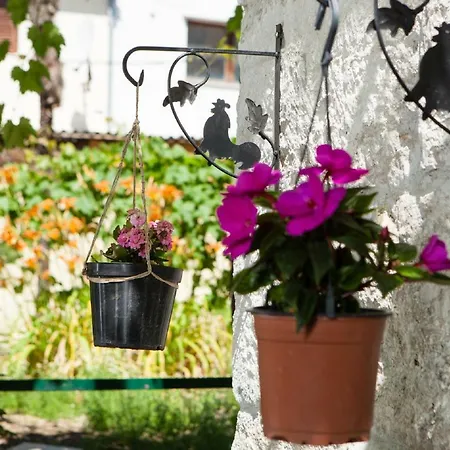 Downtown Authentic * Σπλιτ