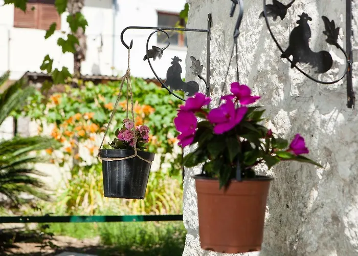 Downtown Authentic * Split