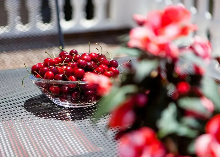 Downtown Authentic Apartmán