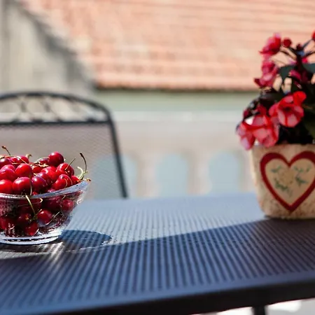 Downtown Authentic Lejlighed *