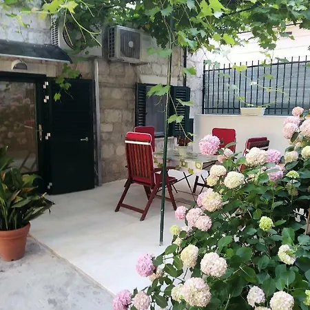 Downtown Authentic *